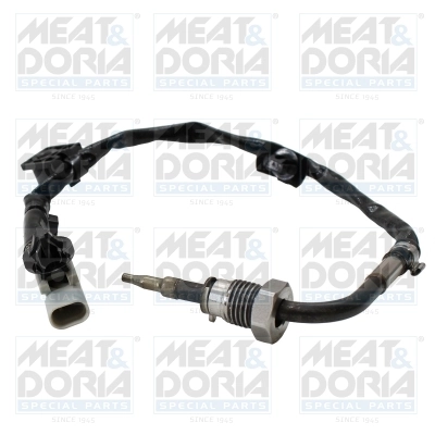 Sensor, exhaust gas temperature